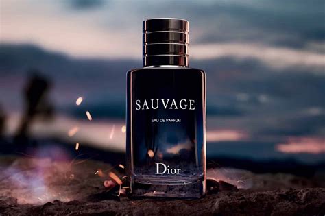 sauvage dior purfum|what does dior sauvage smell like.